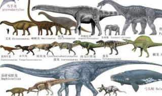 恐龙分几种 恐龙的种类介绍